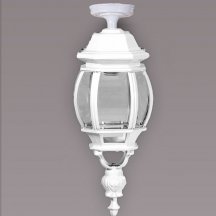 Потолочный светильник уличный Oasis Light AMERICA L 83405LA W