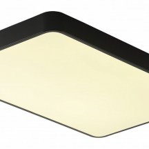 Потолочный светильник Zortes Alberro ZRS.01244.60