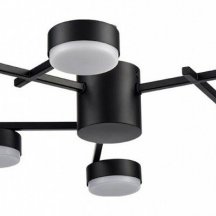 Потолочная люстра Lumion Dabra 8186/6C