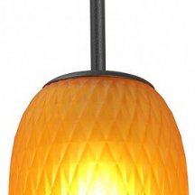 Потолочная люстра Vitaluce V2821-1/1S