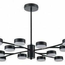 Потолочная люстра Lumion Torina 8117/12