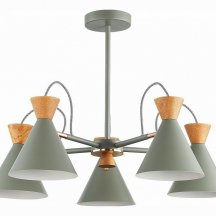 Люстра зелёного цвета Evoluce Modica SLE125112-05