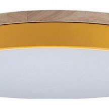 Потолочный светильник Loft IT Axel 10001/36 Yellow