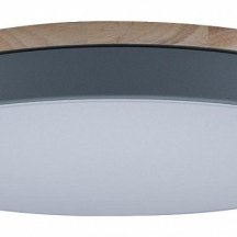 Потолочный светильник для детской комнаты Loft IT  10001/36 Grey
