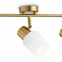 Потолочный спот дня кухни Ambrella light TRADITIONAL TR3972