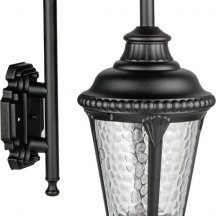 Настенный фонарь уличный Oasis Light MUNICH 2S 79752S/10 Bl