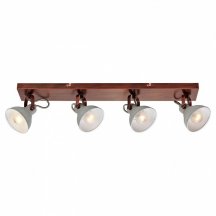 Спот Lussole Loft Diana LSP-9829 в стиле Лофт
