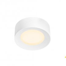 Точечный светильник FERA 25 DALI 1002967