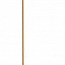 Торшер Lightstar 801716