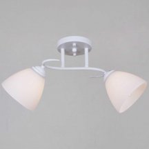 Потолочная люстра Reluce 44560-0.3-02 WH