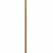 Торшер Freya Forte FR1006FL-01G