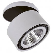 Точечный светильник из Италии Lightstar FORTE INCA 214849