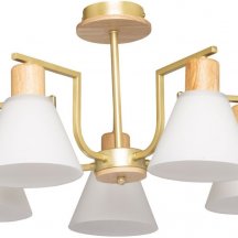 Потолочная люстра DeMarkt Дэла 635016505