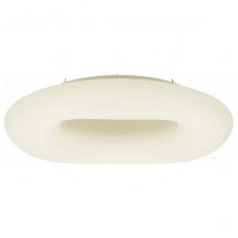 Потолочный светильник для чтения Citilux  cL732A520GS