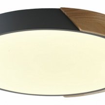 Потолочный светильник Alberro ZRS.01280.90