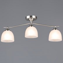 Потолочная люстра Reluce 06414-0.3-03 SL