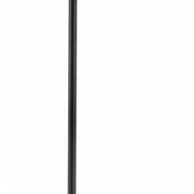 Торшер Lumion Kaya 8042/2F