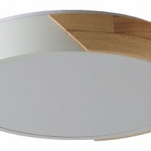 Потолочный светильник Zortes Alberro ZRS.01289.48