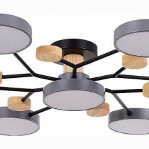 Потолочная люстра EVOLUCE Faema SLE6006-702-07