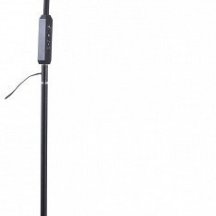 Торшер Uniel ULM-T619 UL-00010178