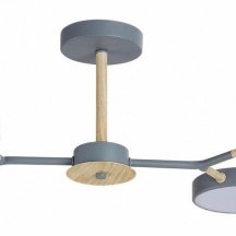 Потолочная люстра Lumion Brad 5651/72CL