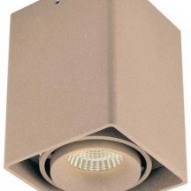 Точечный светильник Lumme DL18611/01WW-SQ Champagne