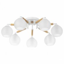 Потолочная люстра Citilux Tika CL133170