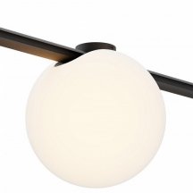 Накладной светильник Maytoni Technical Luna TR236-1-5W3K-B