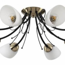 Потолочная люстра Lumion Eliana 4592/8C