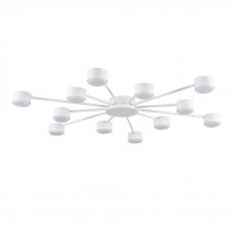 Потолочная люстра Lumion Torina 8343/12C