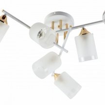 Потолочная люстра Rivoli Georgiana 9144-205 Б0055879