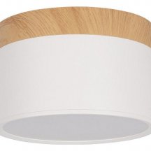 Накладной светодиодный светильник Loft IT Grape 10162 White