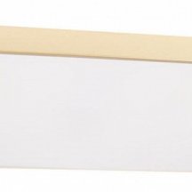 Потолочный светильник Loft IT Flims 10228/E