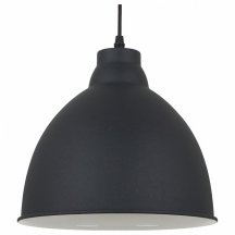 Подвесной светильник Arte Lamp Casato A2055SP-1BK в стиле Лофт