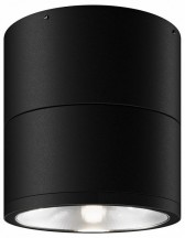 Потолочный светильник уличный Maytoni Spin O310CL-L7GF3K