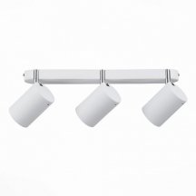 Настенно-потолочный светильник ST Luce Fanale SL597.501.03