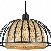 Подвесной светильник Arte Lamp Woodstock A7071SP-1BK