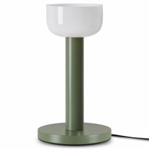 Интерьерная настольная лампа Barries FR6185TL-L5GN