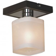 Потолочный светильник Lussole Costanzo LSL-9007-01