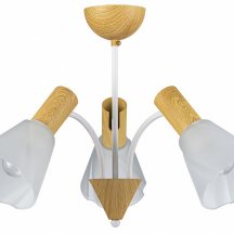 Люстра для натяжных потолков Escada Vardo 1131/3P