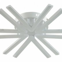 Потолочная люстра Lumion Alberta 8029/60CL