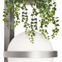 Настенный светильник Loft IT Jardin 10121W/B Dark grey