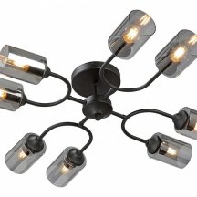 Потолочная люстра Vitaluce V2823-1/8PL