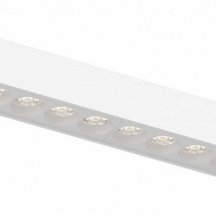 Трековый светильник Aployt Magnetic track 48 APL.0100.10.12