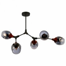 Потолочная люстра Evoluce Ciotolla SLE113402-05