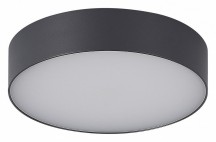 Потолочный светильник уличный ST Luce Sun SL9518.702.01