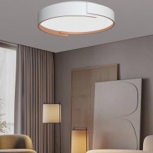 Потолочный светильник Alfa Light F0724-31