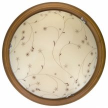 Настенно-потолочный светильник Toplight Karissa TL9650Y-00OA