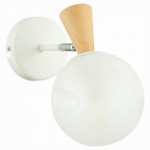 Итальянское бра Evoluce Catania SLE220701-01
