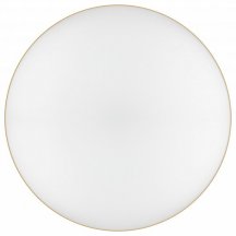 Потолочный светильник ЭРА Relict 48 Pult SPB-6-60-RC MG